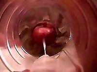 FLESHLIGHT  INTERNAL CUMSHOT 3